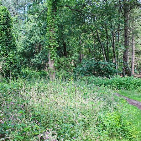 Huiske Oan T Bos Lage Mierde Ngoại thất bức ảnh